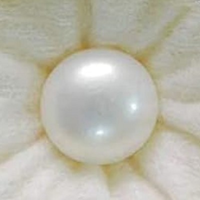 KUSHMIWAL GEMS 11.25 Ratti 10.25 Crt South Sea Pearl Gemstone Moti Stone Original Certified Pearl Stone