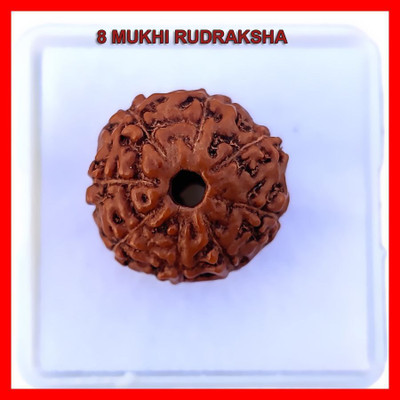 Shivtantra Original 8 Mukhi 8 Face Rudraksha Bead Certified Small Size Java Bead Rudraksha Beads Wood Pendant
