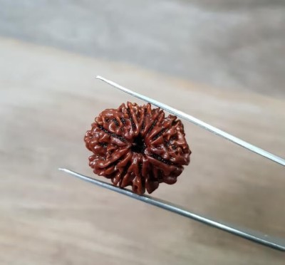 Beautum 9 MUKHI ORIGINAL RUDRAKSHA NEPALI ORIGINAL Wood Pendant