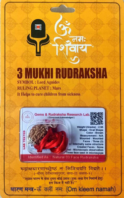 yashvriddhi 3 Mukhi Rudraksha With Pendant Lab Certified 10-14Mm Size Stone Pendant