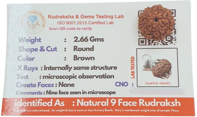 NATURAL TREASURE 9 Mukhi Rudraksha nine face Wood Pendant Set
