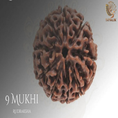 TATVALOK 9 Mukhi Rudraksha Original Nine Faced Bead for Power, Protection&Durga Blessings Wood Pendant