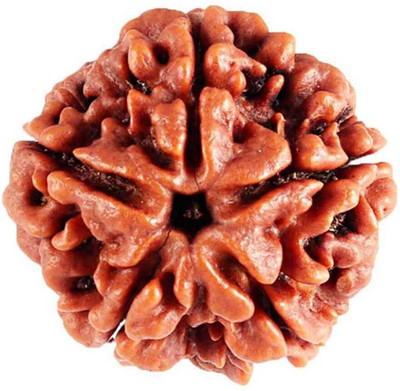 house of common 5 Mukhi Rudraksha Beads Wood Locket