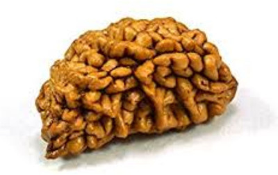 DIVINE SOUVENIRS 1 Mukhi Rudraksha Natural Lab Certified (Ek Mukhi Rudraksha Silk Dori Pendant