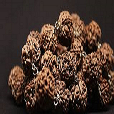 Beautum Original 7 Mukhi Rudraksha seven Face Rudraksha With Metal Capping Wood Pendant