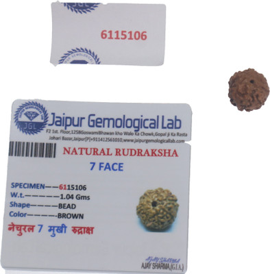house of common 7 Mukhi/ Seven Face Natural Rudraaksha with Lab Certificate Wood Pendant