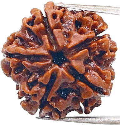 Beautum 5 MUKHI ORIGINAL NATURAL NEPALI RUDRAKSHA WITH METAL CAPPING Wood Pendant