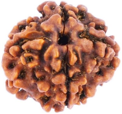 Jewelswonder Natural Certified Nepal 4 Mukhi Rudraksha Bead Fabric Pendant