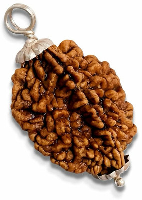 Rudraksham 2 Mukhi Original Nepali Rudraksha Pendant ( Set Of 40 ) Brass Pendant Set