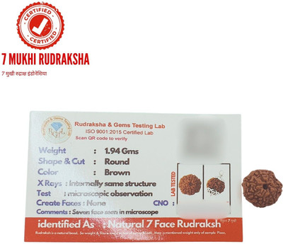 Human Collections 7 Mukhi Rudraksha Nepali Rudraksha with Lab Certified seven Mukhi Wood Locket Set