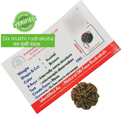 BHAKTI Kripalu Store six Mukhi Oval Rudraksha with and Chain / Original 6 Mukhi Beads Wood Locket Set