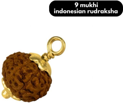 Fine Creation Original 9 Mukhi indonesian Rudraksha Nine Face Rudraksh Gold-plated Brass Locket