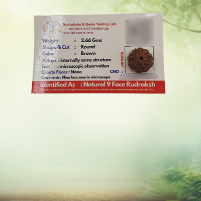 KitaboJi Gems & Jewellery Beads Wood Locket Set