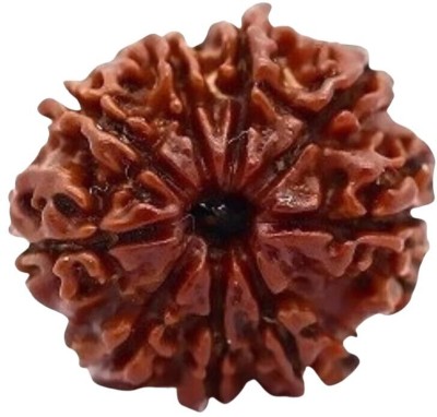 DIVINE HINDU 9 Mukhi Original Nepali Rudraksha Bead - Symbol of Divine Power Lab Certified Wood Pendant