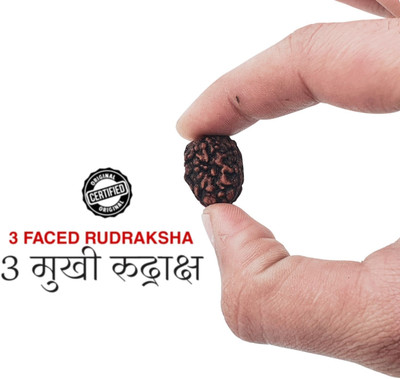 ApnaBro three Face Rudraksha/ 3 Mukhi Rudraksha / 3 Face Rudraksha Beads Wood Pendant Set