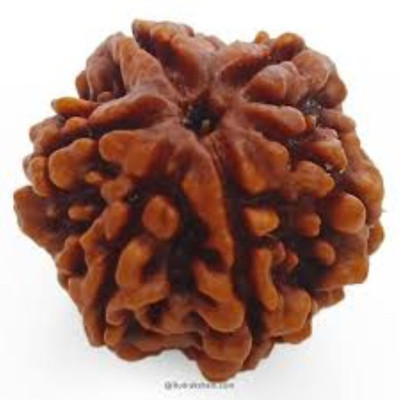 Shivtantra Certified Nepali Six Face Rudraksha Wood Pendant