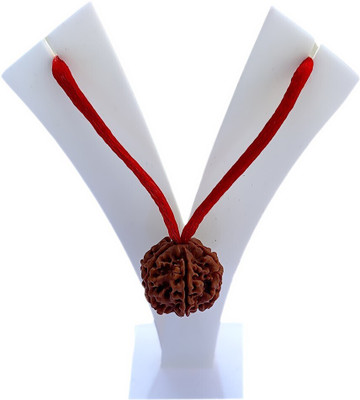 Jewelswonder Lab Certified 6 Mukhi Rudraksha Original & Real Natural 6 Face Rudraksha Beads D Beads Wood Locket