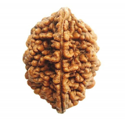ng gems 2 MUKHI/TWO FACE NEPALI RUDRAKSHA LAB CERTIFIED Wood Pendant Set
