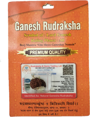 BHAKTI SHRINGAR Ganesh Mukhi Rudraksha Original Certified Lab Test & X-ray Report Sterling Silver Wood Pendant
