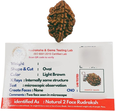 SukhadParivar 2 Mukhi Rudraksha/Original 2 Mukhi Rudraksha with Lab Certificate Two Face Wood Locket Set