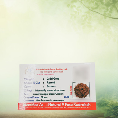 Rudra gems Jewellery Beads Wood Locket Set