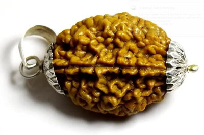 PLUYBaba Samagri Best Origin 2 Mukhi Rudraksha Two Face Rudraksha Metal Capping Wood Pendant