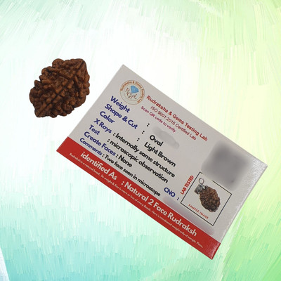 MysteriousThings Certified 2 Mukhi Rudraksha two Faced Rudraksha Original Rudraksha Locket Beads Wood Locket
