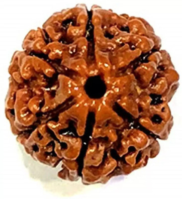 Fine Creation Original 6 Mukhi Nepali Rudraksha with Lab Certificate (Brown) Wood Pendant