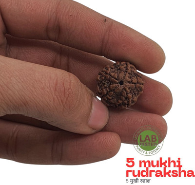 Shade Creation 5 Mukhi Rudraksha Original Certified IGL || Original Seller Nepali Rudraksha || Beads Wood Pendant Set