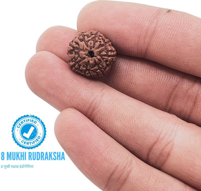SukhadParivar eight Mukhi Rudraksha Certified/Original Java Indonesian 8 Mukhi Rudraksh Wood Locket Set