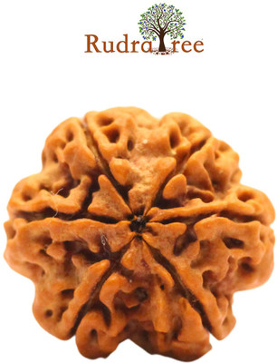 Rudratree Brass
