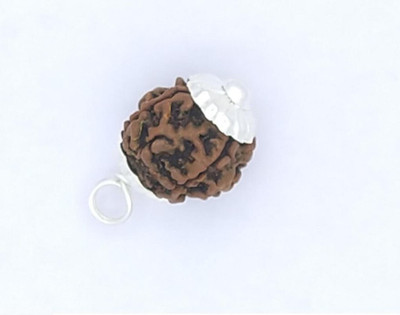 HAPPY CREATION 4 Mukhi Rudraksha Pendant Silver Wood Pendant