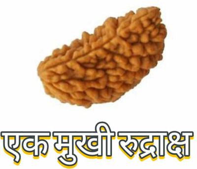 Vadik rudra shakti Natural one Mukhi Rudraksha Lab Certified Bead (Ek Mukhi Rudraksha) Stone Pendant