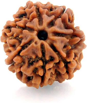 Gems Jewels Online 7 Mukhi Rudraksha Lab Certified Wood Pendant