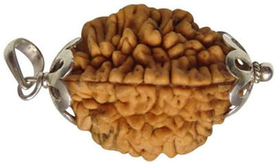 Digibusy 2 Mukhi Rudraksha Two Face Rudraksha Original Nepali Bead With Metal Capped Wood Pendant