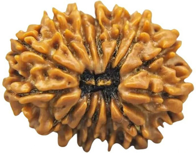 DIVINE HINDU 14 Mukhi Original Nepali Rudraksha Bead -Symbol of Divine Power Lab Certified Wood Pendant