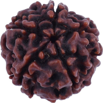 DIVINE SOUVENIRS Rudraksha Beads Wood Locket