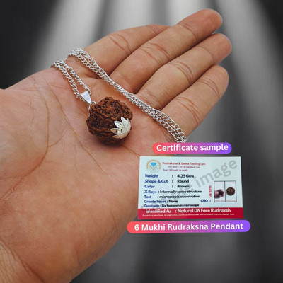 AstroVidhanart 6 Mukhi Rudraksha six face chhahmukhi Rudraksha Nepali with Lab Certificate Silver Beads Brass, Wood Locket