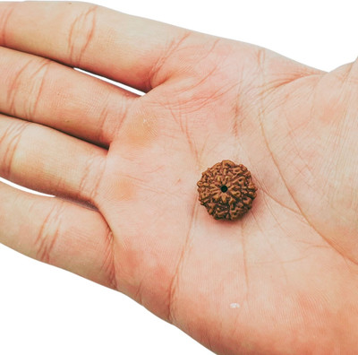 AstroVidhanart Brown Wood 9 Mukhi /9 Face Rudraksha with Lab Certificate for Men and Women Beads Wood Locket