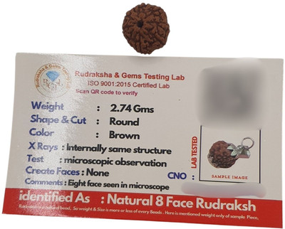 Fine Creation Lab Certified Natural 8 Mukhi Rudraksha Bead Indonesia 8 Face Rudraksha Beads Wood Pendant