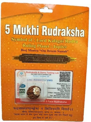 Anandam 5 Mukhi Rudraksha with Silver Capping | Lab Tested & X-ray Certified Wood Pendant