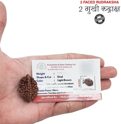 Guruji Imitation Company Certified 2 Mukhi Nepali Rudraksha Silver Pendant for Unisex (12-20mm, Brown) Beads Wood Pendant Set