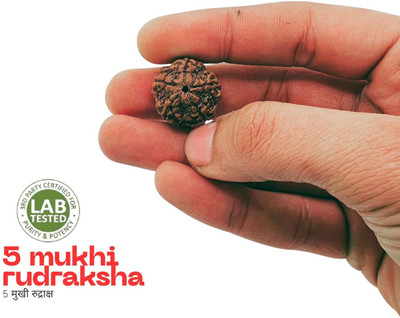Madhur Creation Premium Five Mukhi Rudraksha / Original Nepali 5 faced / 5 Mukhi Rudraksha Wood Locket