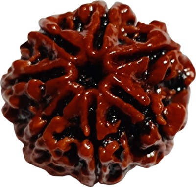 Sri Guru Rudraksha-Bhandar 7 Mukhi Rudraksha Nepali Original Certified (Seven Face Rudraksha) Wood Pendant