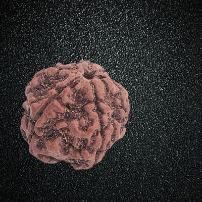 leahyallen 5 Mukhi Rudraksha Original Nepali Genuine Five Face Rudraksha Wood Pendant Beads Wood Pendant