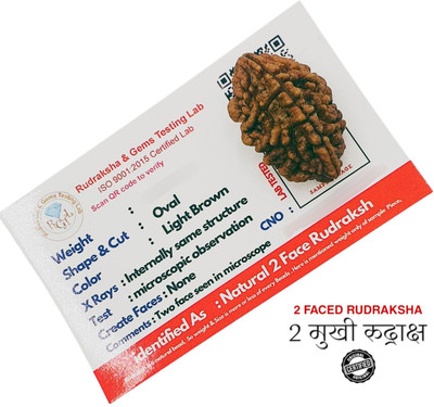 NATURAL TREASURE do Mukhi / two Faced Rudraksha - Lab Certified Wood Pendant Set