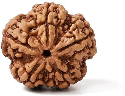 CRGO -XXC®Original Nepali Five Faced / 5 Mukhi Rudraksha Bead--1-PIECE-11 Wood Locket