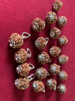 Rudraksham 6 Mukhi Nepali Rudraksha Pendant With Certificate Of Authenticity (Set of 20) Silver Brass Locket Set