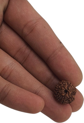 urbanzebra 7 Mukhi Nepali Rudraksha With IGL Certified | Original Seller Nepali Rudraksh | Beads Brass, Wood Pendant Set