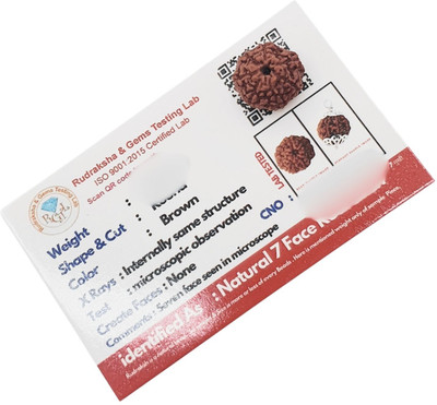 Banke Collection Premium seven Mukhi Rudraksha / Original Nepali 7 Mukhi Rudraksha Beads Wood Pendant